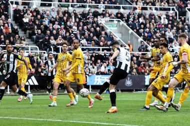 Newcastle United 'tan Fabian Schr 2-1' lik bir gol atmasına karşın, Birleşik Newcastle United ve Hove Albion 'un St. James' s Park, Newcastle, İngiltere 'de oynadığı 5.