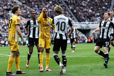 Newcastle United takımından Anthony Gordon ile Brighton & Hove Albion takımından Jan Paul van Hecke (resimsiz) arasında oynanan 5. 