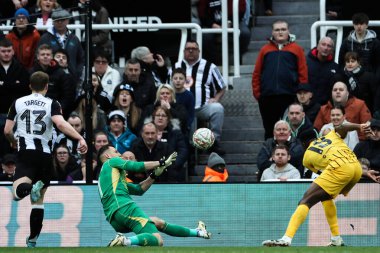 Brighton & Hove Albion 'dan Danny Welbeck, 2 Mart 2025' te İngiltere 'nin Newcastle kentindeki St. James' s Park 'ta oynanan 5. Newcastle United ve Hove Albion karşılaşmasında 1-2 kazanmayı hedefliyor.