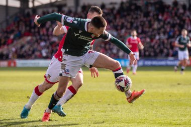 Bolton Wanderers takımından Will Forrester, 1 Mart 2025 'te SToK Cae Ras, Wrexham - Bolton Wanderers maçında faul yaptı.