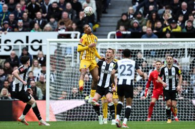 Brighton & Hove Albion takımından Joo Pedro, 2 Mart 2025 tarihinde İngiltere 'nin Newcastle kentindeki St. James' s Park 'ta düzenlenen 5.