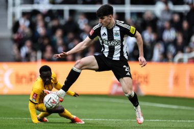 Newcastle United takımından Tino Livramento, 2 Mart 2025 tarihinde İngiltere 'nin Newcastle kentindeki St. James' s Park 'ta oynanan 5. tur Newcastle United ve Hove Albion karşılaşmasında topu kontrol ediyor.