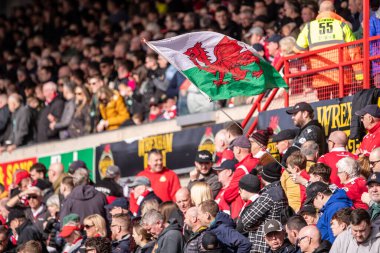 Wrexham AFC taraftarları arasında Wrexham - Bolton Wanderers maçında Wrexham - SToK Cae Ras, Wrexham, İngiltere 1 Mart 2025