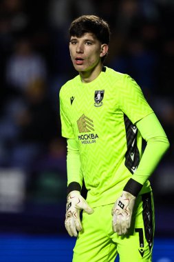 Sheffield 'li James Beadle, 28 Şubat 2025' te Sheffield Wednesday, Hillsborough, Sheffield, Birleşik Krallık 'ta Sunderland' a karşı oynadığı Gökyüzü İddia Şampiyonası maçında Çarşamba günü