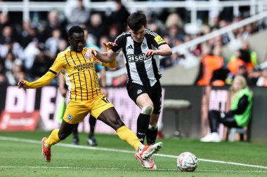 Brighton & Hove Albion takımından Yankuba Minteh, Newcastle United 'ın 5. tur Newcastle United ile Brighton ve Hove Albion maçlarında Newcastle United' dan Tino Livramento 'yu 2 Mart 2025' te St. James 's Park, Newcastle, İngiltere' de yendi.