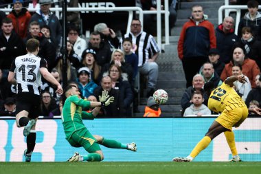 Brighton & Hove Albion 'dan Danny Welbeck, 2 Mart 2025' te İngiltere 'nin Newcastle kentindeki St. James' s Park 'ta oynanan 5. Newcastle United ve Hove Albion karşılaşmasında 1-2 kazanmayı hedefliyor.