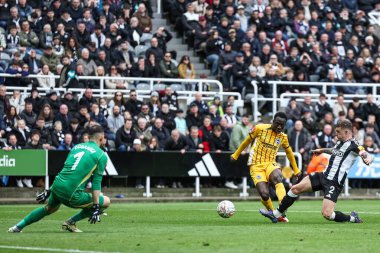 Brighton & Hove Albion takımından Yankuba Minteh, 2 Mart 2025 'te St. James' s Park, Newcastle, İngiltere 'de oynanan 5.