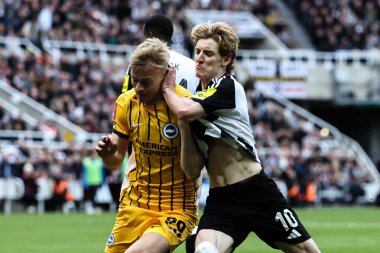 Newcastle United 'dan Anthony Gordon, Brighton & Hove Albion takımından Jan Paul van Hecke' yi başından itiyor ve bu da Emirates FA Cup 5. Raund Newcastle United ile Brighton ve Hove Albion maçlarında kırmızı kart gösteriyor.