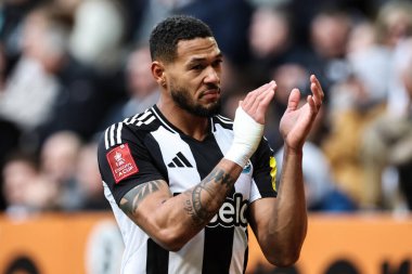 Newcastle United takımından Joelinton, Birleşik Krallık 'ın Newcastle şehrinde 2 Mart 2025 tarihinde oynanan 5. Newcastle United ve Hove Albion karşılaşmasında ev sahibi taraftarları alkışlıyor.