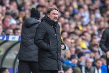 Leeds United 'ın Daniel Farke teknik direktörü, Leeds United - West Bromwich Albion maçında Leeds Road, Leeds, İngiltere 1 Mart 202