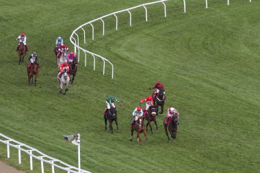 Latenightpass 'taki Bayan Gina Andrews Cheltenham, Cheltenham, İngiltere' de 12 Mart 202 'de düzenlenen 2025 Style Çarşamba günkü Cheltenham Festivali' nde Glenfarclas Kros Kovalamacası 'nı yönetiyor.