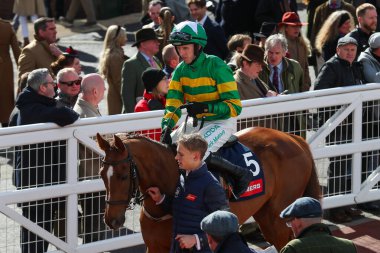 Mark Walsh 'un Kel Histoire binicisi, 12 Mart 2025' te Cheltenham Hipodromu, Birleşik Krallık 'ta çarşamba günü Turners Acemileri Engelli Cheltenham Festivali 2025 Style için piste çıkıyor.