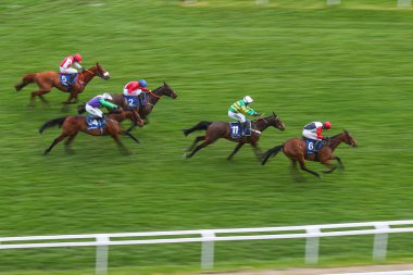 Danny Mullins, Cheltenham Yarış Pisti, Cheltenham, Cheltenham, İngiltere 'de 12 Mart 2025' te Çarşamba günü düzenlenen 2025 Stili Festivali 'nde Jimmy Du Seuil' in Coral Cup Handicap Engellisinde başı çekiyor.