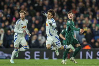 Leeds United takımından Ao Tanaka, Millwall 'dan Luke Cundle ile 12 Mart 2025' te Elland Road, Leeds, İngiltere 'de oynanan Sky Bet Şampiyonası karşılaşmasında faul yaptı.