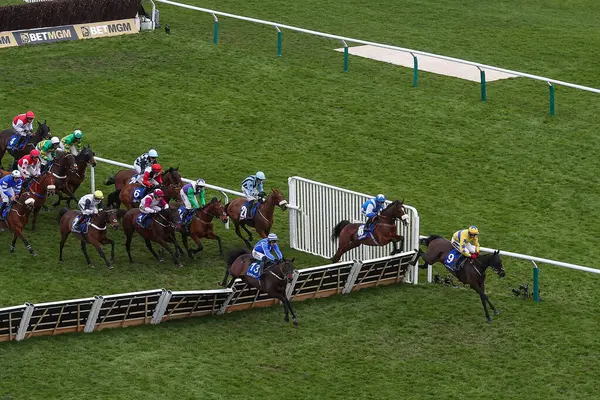 Al Gasparo 'dan Keith Donoghue, Cheltenham Yarış Pisti, Cheltenham, Cheltenham, Birleşik Krallık, 12 Mart 2025' te düzenlenen 2025 Stili Festivali 'nde Mercan Kupası Handikap Engelli Engelli Engelli Atlayışı' na liderlik ediyor.