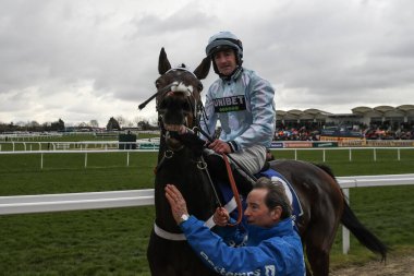 Doddiethegreat 'dan Brian Hughes, 13 Mart 2025' te Cheltenham Yarış Pisti, Cheltenham, Birleşik Krallık 'ta düzenlenen 2025 St Patricks Festivali' nde Pertemps Handicap Engelli Engelini 'ni kazandıktan sonra yarışmayı kazandı.