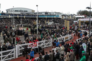 Cheltenham Festivali 2025 St Patricks Perşembe günü Cheltenham Hipodromu, Cheltenham, İngiltere, 13 Mart 2025 'te düzenlenen Pertemps Handicap Engelli Engellisi' nin önünde atlar yarışa katılıyor.