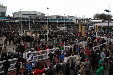Cheltenham Festivali 2025 St Patricks Perşembe günü, Cheltenham Hipodromu, Cheltenham, Birleşik Krallık, 13 Mart 202 'de yapılacak olan Pertemps Handicap Engellisinin önünde atlar yarışa katılıyor.