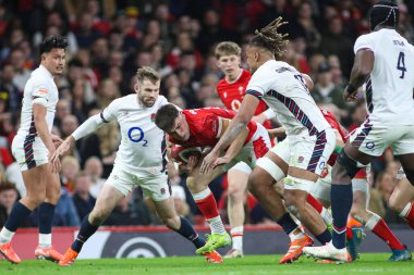 Galler 'den Joe Roberts, 2025 Guinness 6 Milletler, İngiltere' ye karşı Principality Stadyumu, Cardiff, Birleşik Krallık 'ta 15 Mart 2025' te Galler maçı yaptı.