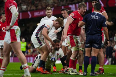 İngiltere 'den Stuart, İngiltere' nin Cardiff şehrindeki Principality Stadyumu 'nda oynanan 2025 Guinness 6 Milletler maçında gol atacak mı?