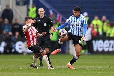 Sheffield 'li Shea Charles Çarşamba günü Sheffield United takımından Gustavo Hamer ile Sheffield Wednesday-Sheffield United maçında karşı karşıya geldi.
