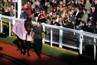 Cheltenham Yarış Pisti, Cheltenham, Birleşik Krallık 'ta düzenlenen 2025 Altın Kupa Festivali' nde Altın Kupa 'yı kazandıktan sonra hiçbir şekilde düşünmüyorum.