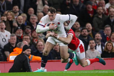 İngiltere 'den Tom Roebuck, 2025 Guinness maçı sırasında İngiltere' ye karşı Galler maçı, Cardiff, Birleşik Krallık 'ta 15 Mart 2025