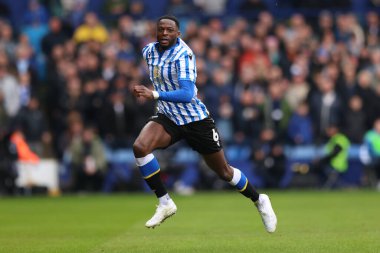 Sheffield 'li Dominic Iorfa Çarşamba günü Sheffield Wednesday' in Sheffield United 'a karşı 16 Mart 2025' te Hillsborough, Sheffield, İngiltere 'de oynadığı maçta