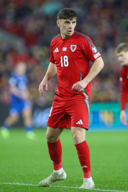 FIFA Dünya Kupası elemeleri sırasında Galler 'den Mark Harris Cardiff City Stadyumu' nda Galler 'e karşı Galler - Kazakistan maçı, 22 Mart 2025