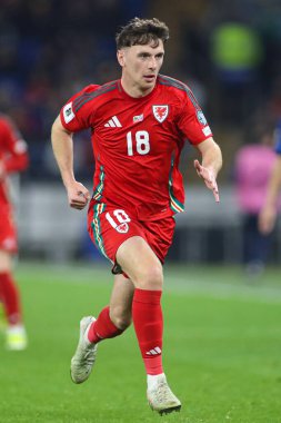 FIFA Dünya Kupası elemeleri sırasında Galler 'den Mark Harris Cardiff City Stadyumu' nda Galler 'e karşı Galler - Kazakistan maçı, 22 Mart 2025