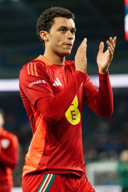 Galler 'den Brennan Johnson FIFA Dünya Kupası elemeleri sırasında J Grubu Cardiff City Stadyumu' nda Galler - Kazakistan maçında, 22 Mart 2025