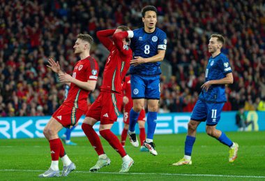 Kazakistan 'dan Tagybergen' e sorulduğunda, takımının FIFA Dünya Kupası eleme maçında attığı ilk golü Cardiff City Stadyumu 'nda Galler' e karşı Galler - Kazakistan maçı sırasında attı.