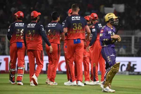 Royal Challengers 'dan Josh Hazlewood, Merkez, Kolkata Şövalyeleri' nden Quinton de Kock 'un Hindistan Premier Ligi kriket maçı sırasında Kolkata Knight Riders ve Royal Challengers' dan Bengaluru 'nun elenmesini takım arkadaşlarıyla kutluyor.