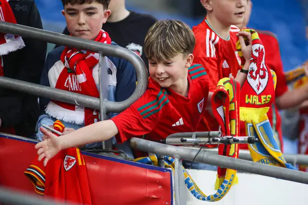 Genç Galli taraftarlar, FIFA Dünya Kupası elemeleri öncesinde J Grubu Cardiff City Stadyumu 'nda Galler - Kazakistan maçı, 22 Mart 2025