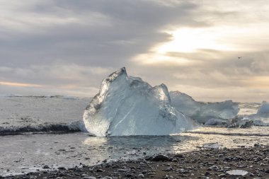 25 Mart 2025 'te Jkulsrln Buzul Gölü, Jkulsrln, İzlanda' dan nehrin aşağısında yüzen Elmas Plajı 'nda küçük buzdağı kıyıya vurdu.