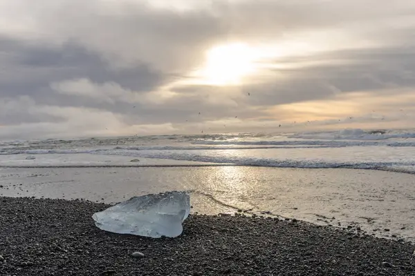 25 Mart 2025 'te Jkulsrln Buzul Gölü, Jkulsrln, İzlanda' dan nehrin aşağısında yüzen Elmas Plajı 'nda küçük buzdağı kıyıya vurdu.