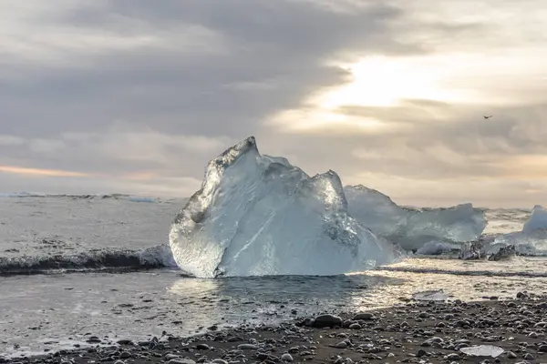 25 Mart 2025 'te Jkulsrln Buzul Gölü, Jkulsrln, İzlanda' dan nehrin aşağısında yüzen Elmas Plajı 'nda küçük buzdağı kıyıya vurdu.