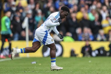 Leeds United 'dan Wilfried Gnonto, Leeds United takımının Daniel James' i Sky Bet Şampiyonası maçında Leeds United ile Swansea City arasında 29 Mart 2025 'te Elland Road, Leeds, İngiltere' de oynuyor.