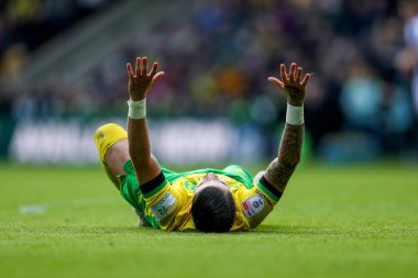 Norwich City 'den Borja Sainz, 29 Mart 2025' te İngiltere 'nin Carrow Road kentinde oynanan Norwich City-West Bromwich Albion maçında kaybedilen bir şans sonucu tepki gösterdi.
