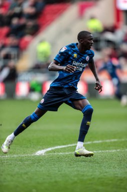 Crawley Town 'dan Panutche Camar Sky Bet 1 maçı sırasında New York, Rotherham Stadyumu' nda Rotherham United 'a karşı.