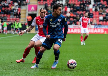 Crawley Town 'dan Kamari Doyle Sky Bet League 1 maçı sırasında New York Stadyumu, Rotherham, Rotherham, Birleşik Krallık' ta Rotherham United 'a karşı.