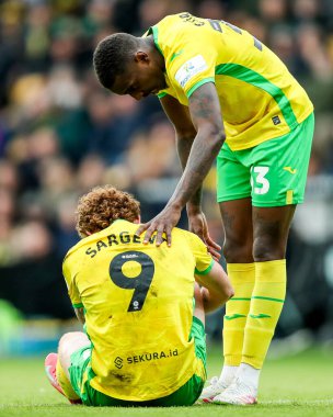 Norwich City 'den Josh Sargent, 29 Mart 2025' te Norwich City - West Bromwich Albion maçında sakatlandı.