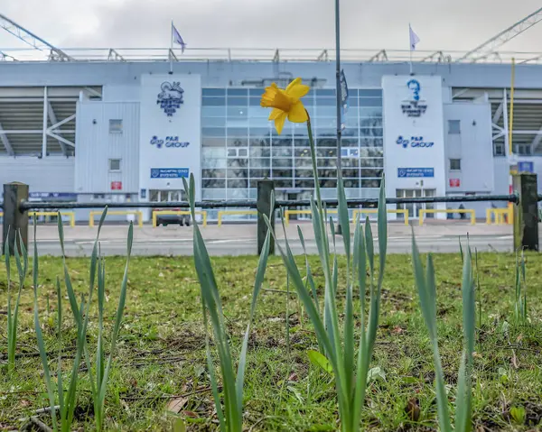 Bir nergis 30 Mart 2025 'te Birleşik Krallık, Preston, Deepdale' de Preston North End - Aston Villa maçında Pazar günü oynanan Emirlikler Kupası çeyrek final maçında Deepdale 'in dışında rüzgârda savruluyor.