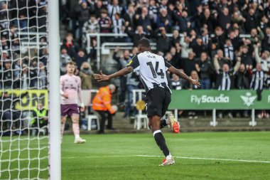 Newcastle United 'dan Alexander Isak, Premier League maçı Newcastle United' ın 2 Nisan 2025 'te St. James' s Park, Newcastle, İngiltere 'de oynadığı karşılaşmada 1-0 kazanma hedefini kutluyor.