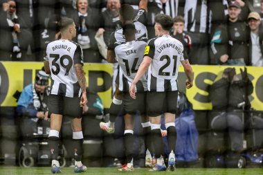 Newcastle United 'dan Alexander Isak, Premier League maçı Newcastle United' ın 2 Nisan 2025 'te St. James' s Park, Newcastle, İngiltere 'de oynadığı karşılaşmada 1-0 kazanma hedefini kutluyor.