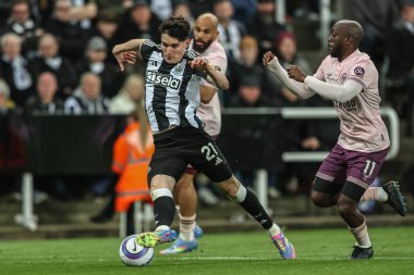 Newcastle United takımından Tino Livramento, Premier Lig maçında Newcastle United 'ın Brentford' a karşı St. James 's Park, Newcastle, İngiltere' de 2 Nisan 2025 'de oynadığı maçta topu bırakıyor.