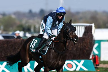 Gina Andrews 'un bindiği Tapınak Şövalyesi Randox Tilki Avcılarının Açık Avcıları' nda 3 Nisan 2025 'te Liverpool, Aintree Yarış Pisti' nde düzenlenen Ulusal 2025 Açılış Günü 'nde başı çekiyor.