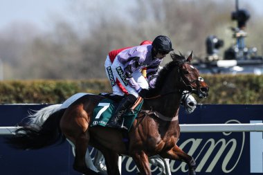 Harry Cobden tarafından sürülen Sahne Yıldızı, 3 Nisan 2025 'te Aintree Yarış Pisti, Liverpool' da düzenlenen Randox Grand National 2025 Gün Açılış Günü 'nde Brooklands Altın Miller Kronograf Bowl Chase' de başı çekiyor.