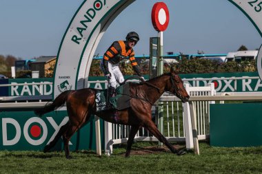 Patrick Mullins 'in sürdüğü Nick Rocket, 5 Nisan 2025' te Aintree Yarış Pisti, Liverpool, Birleşik Krallık 'ta düzenlenen Randox Grand National 2025 Ulusal Günü' nde 16: 00 Random Grand Handicap Chase 'i kazandı.