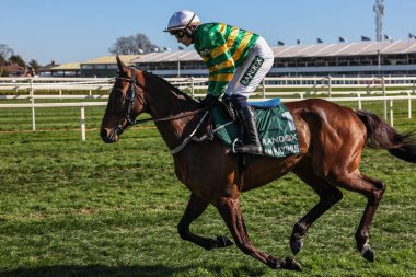 Bryan Carver 'ın sürdüğü Altobelli Randox Grand National 2025 Günü' nde Aintree Yarış Pisti, Liverpool, Birleşik Krallık, 5 Nisan 2025